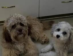 Televistazo en la Comunidad Guayaquil | 18-12-2025