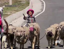 Desnutrición infantil