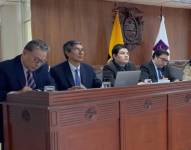 Pleno de la Corte COnstitucional.