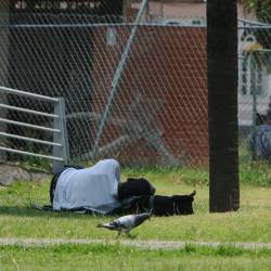 La migración marca una de las crisis más profundas del Ecuador