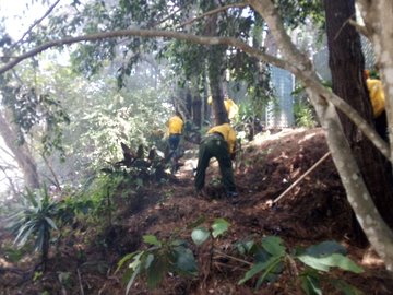 Incendios queman más de 47.000 ha de bosque en Guatemala