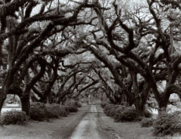 Conoce las 10 fobias más raras del mundo