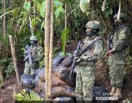 Empresas ecuatorianas elaborarán comida de combate, especializada para militares