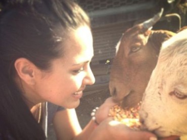 Los famosos de Pasión Prohibida en Twitter