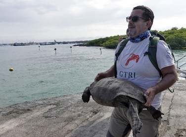 La fantástica Chelonoidis phantasticus