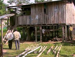 Alerta, más fumigaciones parte 2