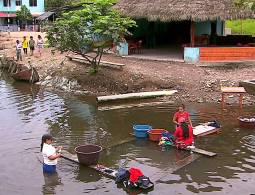 Alerta, más fumigaciones parte 1