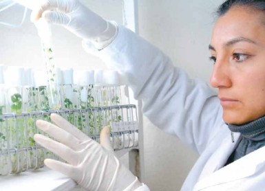 Gobierno analiza propuesta de fabricar medicamentos en el país