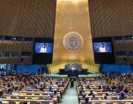 Asamblea General de la Naciones Unidas