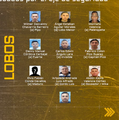 En 2024, el Ejército publicó la lista de objetivos militares. En el documento consta la estructura identificada de Los Lobos.