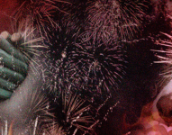 Durante los ruidos evite sobrecargar a tu perro o gato con abrazos o mimos.