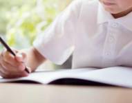 Entre la capacidad de observación, la concentración y el raciocinio, los niños con altas capacidades suelen ser ignorados con frecuencia.