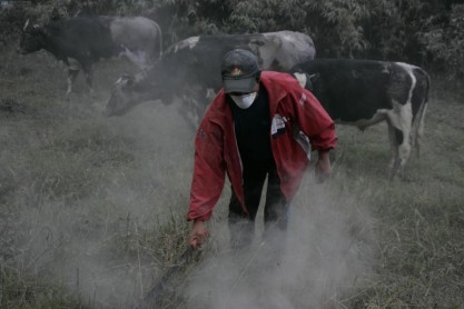 Efectos de la caída de ceniza del volcán Tungurahua