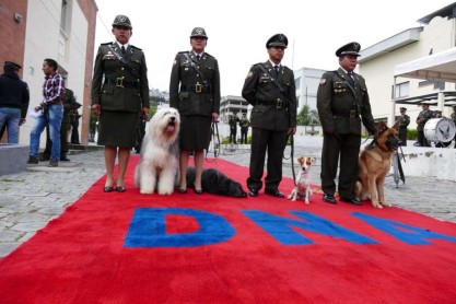 Canes reciben honores tras años se servicio en la Policía