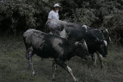 Efectos de la caída de ceniza del volcán Tungurahua