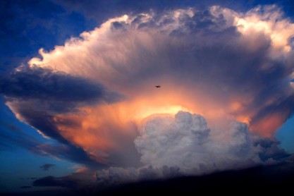 Naturaleza sorprendente