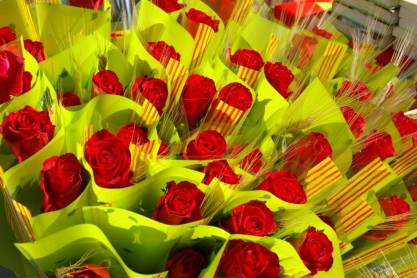 Rosas ecuatorianas, listas para halagar a los enamorados del mundo