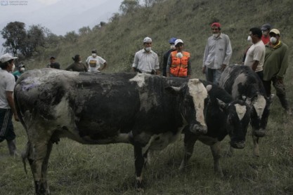 Efectos de la caída de ceniza del volcán Tungurahua