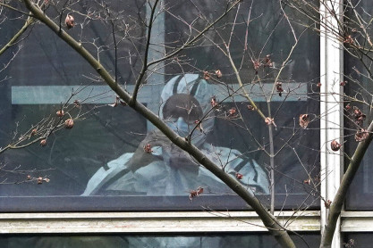 OMS ve probable que el COVID venga de animales