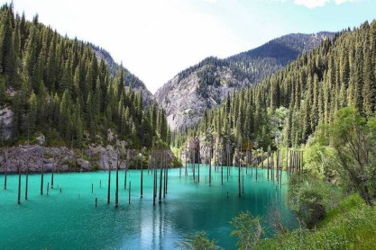 Naturaleza sorprendente