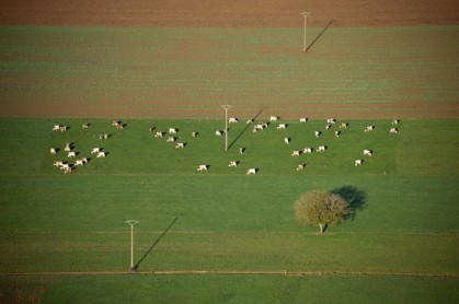Fotografías tomadas en el momento oportuno