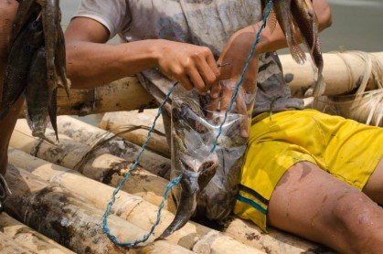 Marimba: La escencia