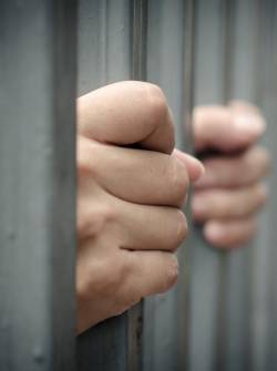 Televistazo en la Comunidad Quito | 12-11-2025