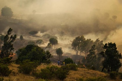Alerta sanitaria en 4 regiones de Chile por incendios forestales