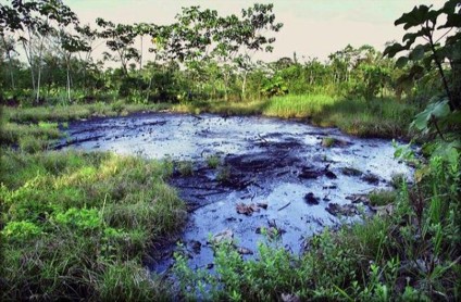 Ecuador pide a una corte de La Haya anular laudos arbitrales en caso Chevron