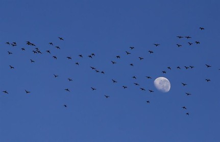 Felíz día Madre Tierra