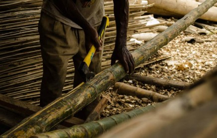 Marimba: La escencia