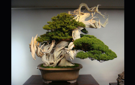 Fotos raras e interesantes del mundo en el que vivimos