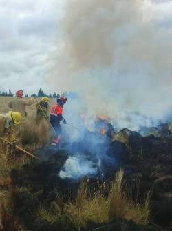 Quema controlada en Cuchitingue.