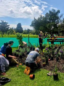 Televistazo en la Comunidad Quito | 14-11-2025