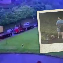 Un menor de edad sobrevivió a un siniestro vial por bajarse del vehículo segundos antes.