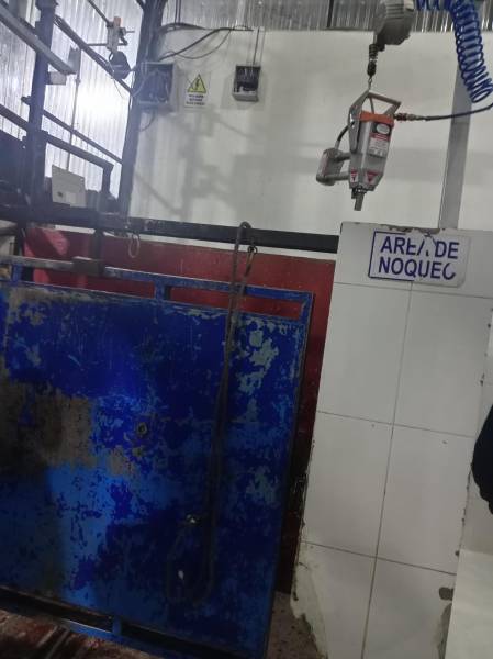 Insalubridad en el camal clandestino.