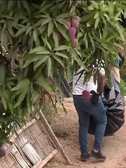 Imagen de un cuerpo descuartizado siendo sacado de un saco.