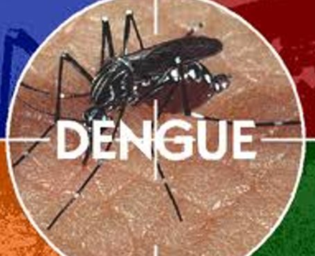 Dengue deja nueva víctima mortal en Santo Domingo de los Tsáchilas