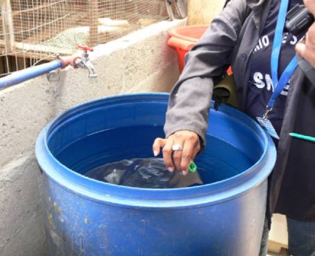 Sucumbíos registra 110 casos de dengue en lo que va del 2013