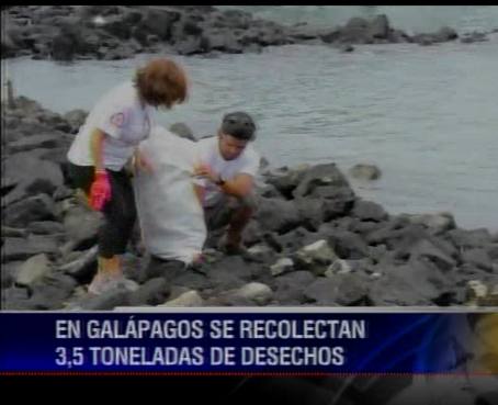 &#039;Limpieza Costera&#039; recolectó 3,5 toneladas de basura en Galápagos