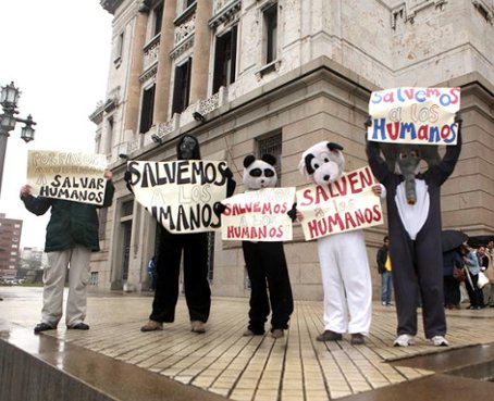 Uruguay aprobó el aborto hasta la semana doce de gestación