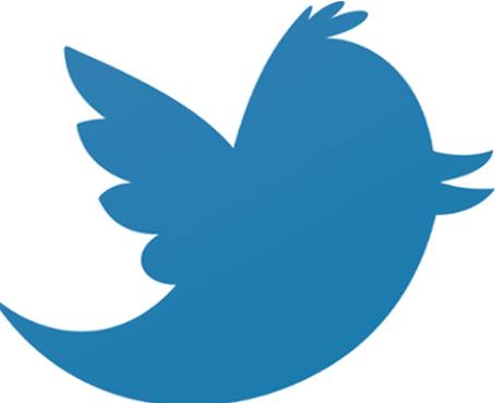Twitter cancela la cuenta de la milicia radical islámica somalí Al Shabab