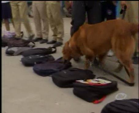 Operativos con canes dentro de colegios en El Oro