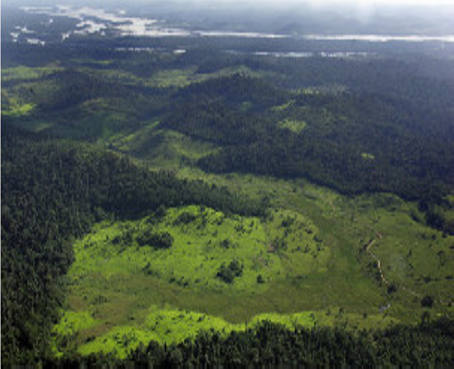 La deforestación del Amazonas está en sus niveles más bajos