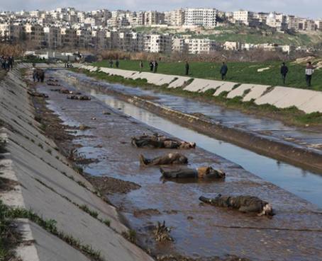 Hallan unos 80 cadáveres en el río de la ciudad siria de Alepo