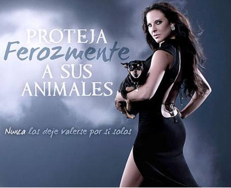 Kate Del Castillo posa para campaña de protección de animales