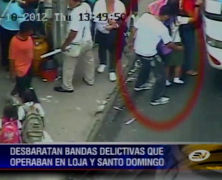 Arrestan a 24 personas y desarticulan bandas delictivas en Loja y Santo Domingo