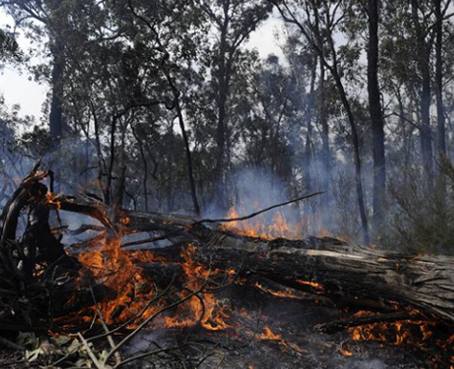 Los incendios en Australia se cobran la primera víctima mortal