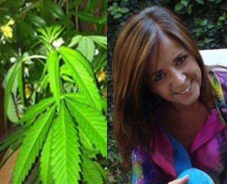 Polémica en Argentina luego de que legisladora mostrara su planta de marihuana en Twitter