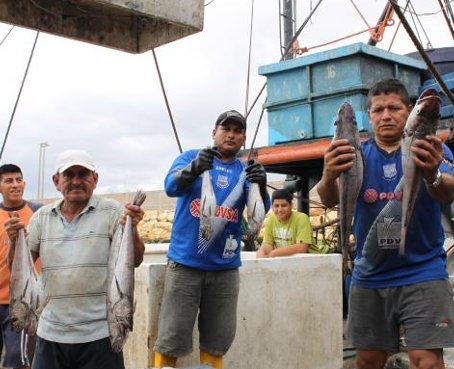 Pescadores asombrados por la cantidad de merluza en Costa ecuatoriana